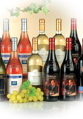 Probierpaket 