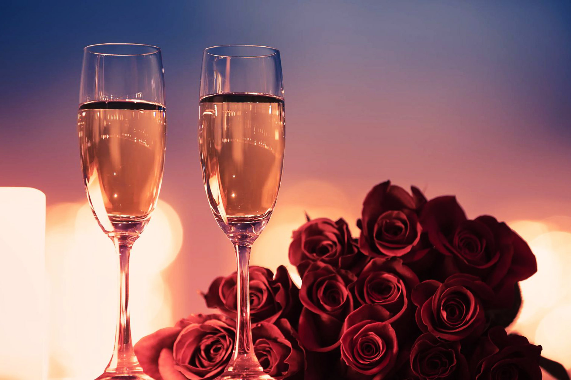 All you need is... wine! All you need is... wine!