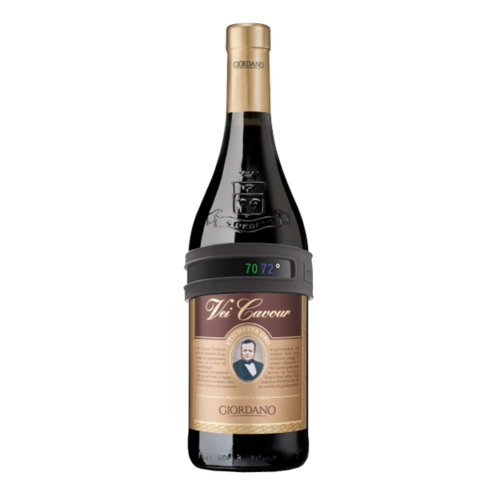 Vacu Vin Flaschenthermometer 59323 Giordano Weine