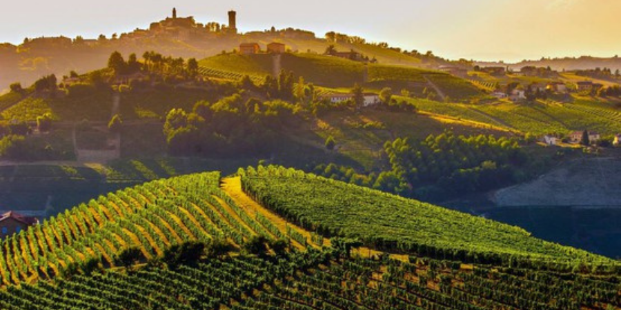 Die Langhe, der Roero und das Monferrato: Ein September auf der Reise Die Langhe, der Roero und das Monferrato: Ein September auf der Reise