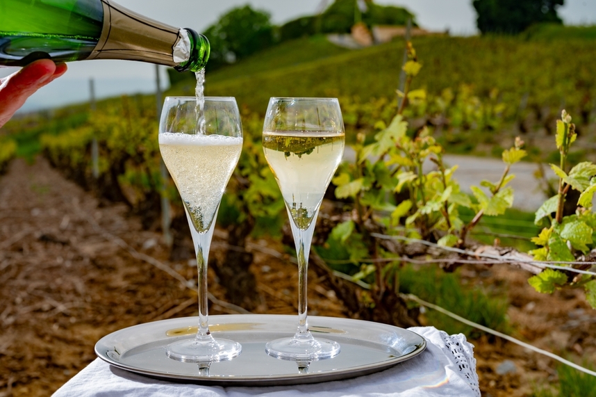 Französische Weine - Eigenschaften und Kombinationen