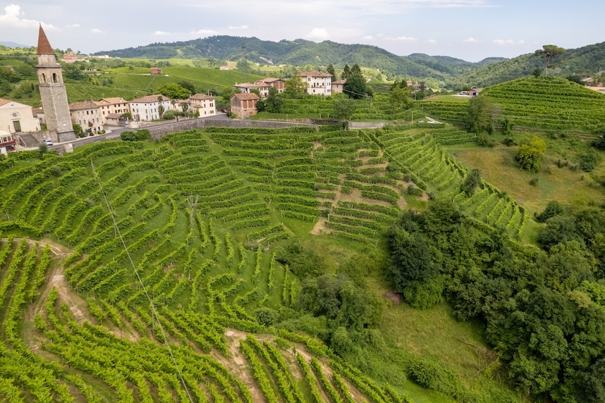 prosecco sorten conegliano venetien